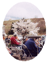 お花見会
